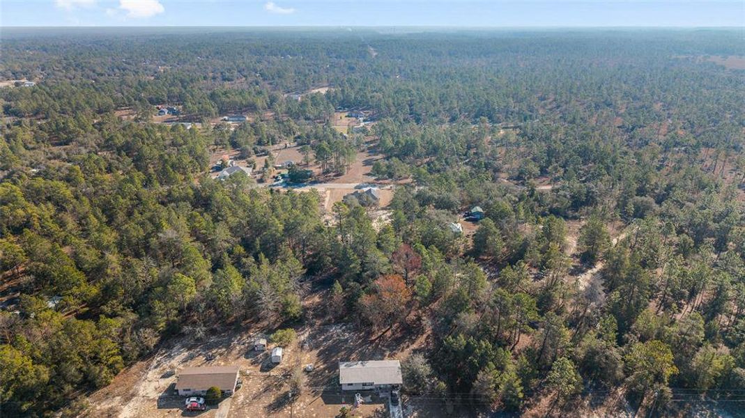 Natural landscape and outdoor views near  in Dunnellon (Image 49).