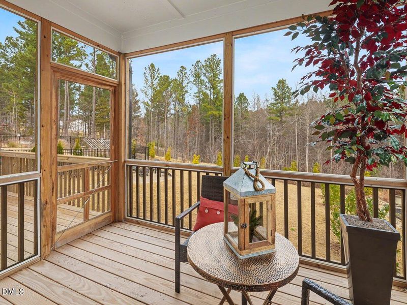 Screened Porch 2 (3)