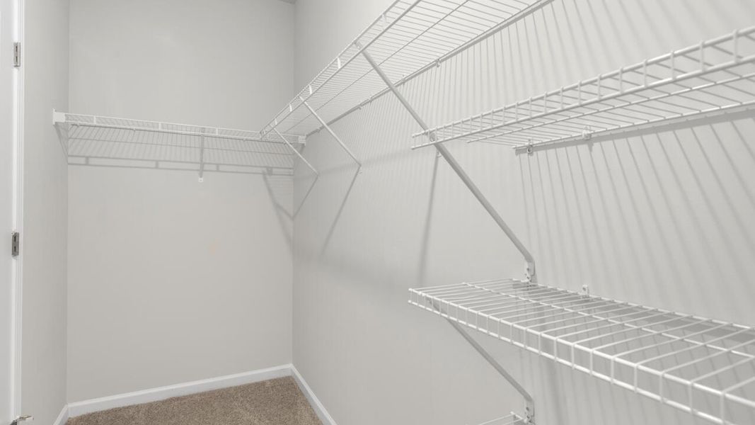 Image 19 representing the DELANEY by D.R. Horton in The Cottages at Blake Farm, Wilmington, NC. Image 19 representing the DELANEY by D.R. Horton in The Cottages at Blake Farm, Wilmington, NC.