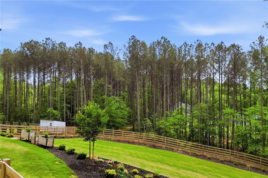 Natural landscape and outdoor views near  in Canton (Image 48).