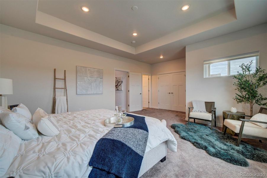 Primary bedroom has tray ceiling.