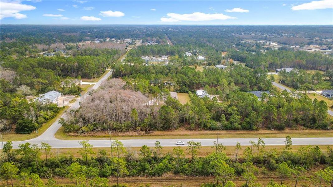 Natural landscape and outdoor views near  in Orlando (Image 72).