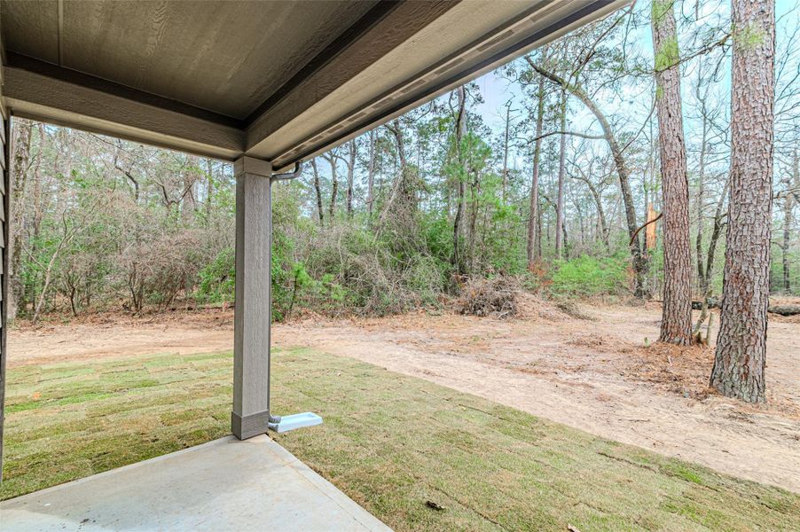 Exterior details and patio area of a home in , Huntsville (Image 4).