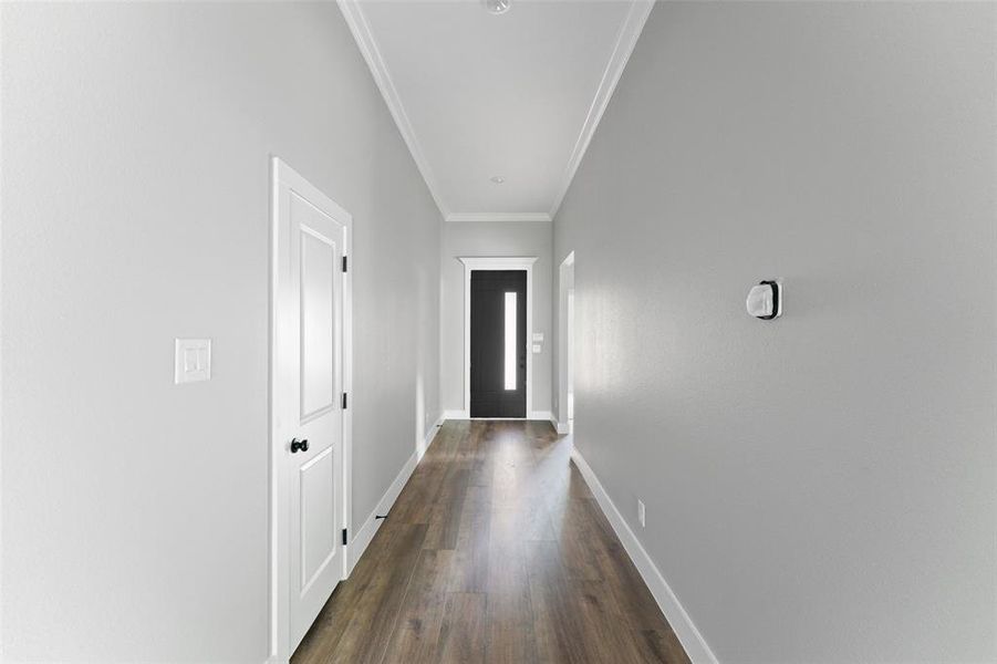 Doorway to outside with ornamental molding and wood finished floors
