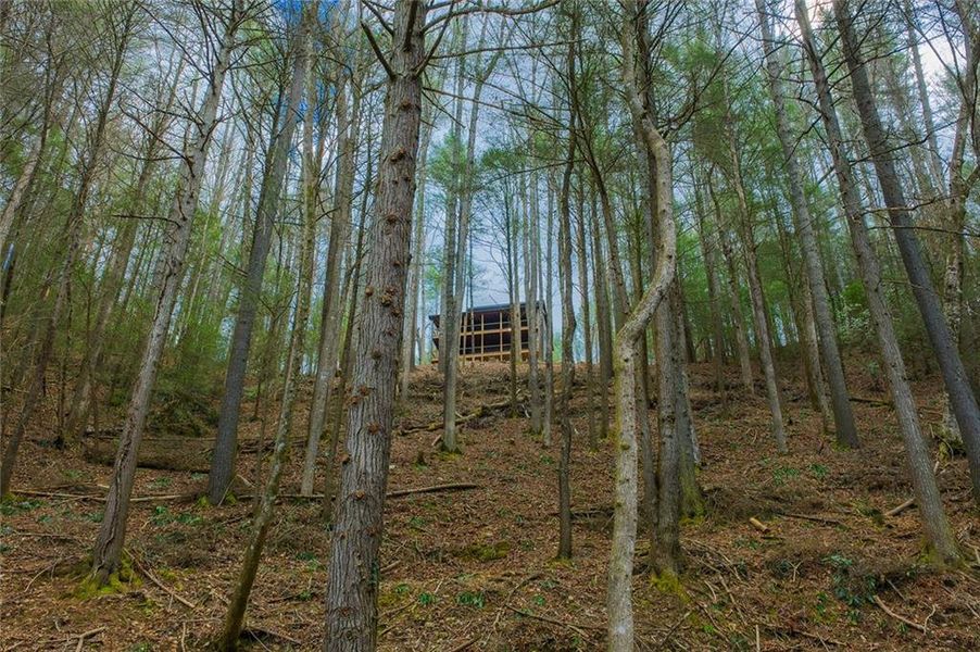 Natural landscape and outdoor views near  in Ellijay (Image 30).