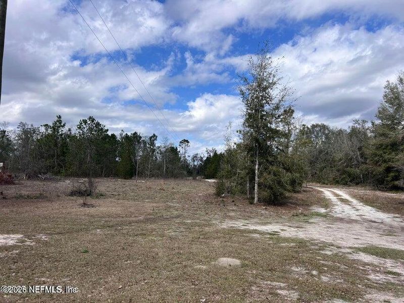 Natural landscape and outdoor views near  in Live Oak (Image 23).