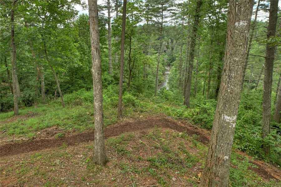Natural landscape and outdoor views near  in Ellijay (Image 63).