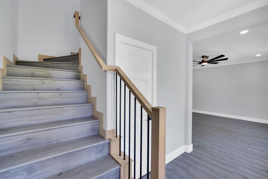 Spacious, unfurnished interior of a new home in , Kemp (Image 20).