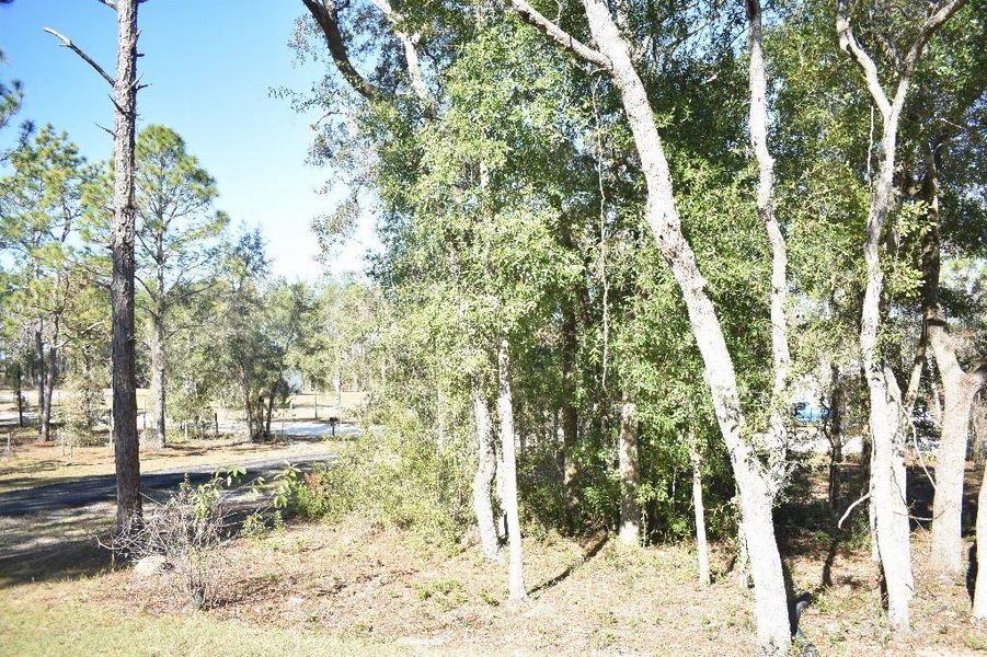 Natural landscape and outdoor views near  in Williston (Image 51).