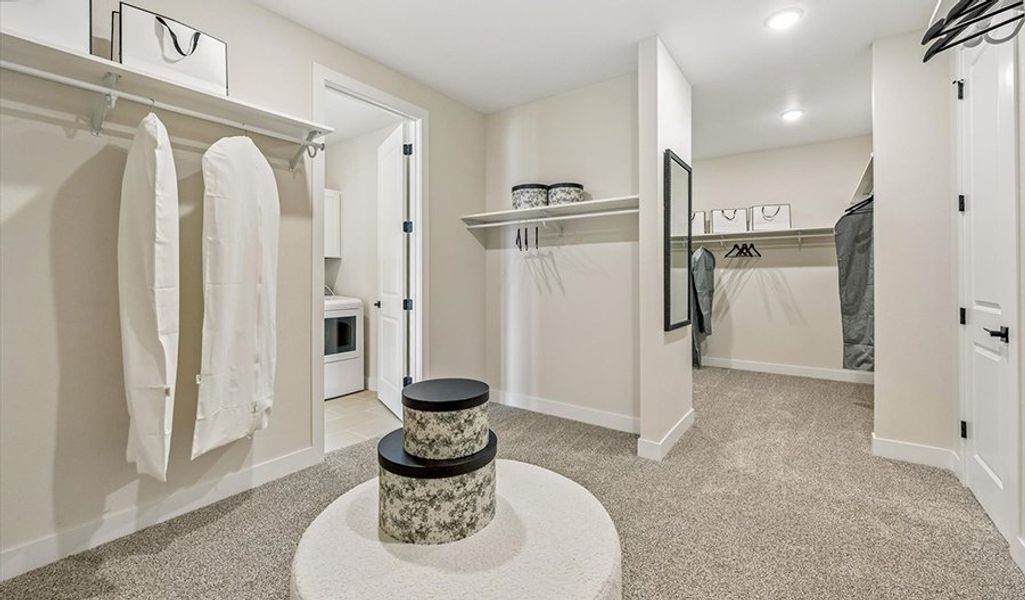 Teton-37-SkylineParkvale Closet Teton-37-SkylineParkvale Closet