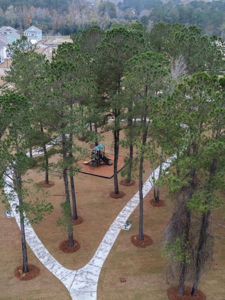 Natural landscape and outdoor views near Abbey Walk in Moncks Corner (Image 32). Natural landscape and outdoor views near Abbey Walk in Moncks Corner (Image 32).