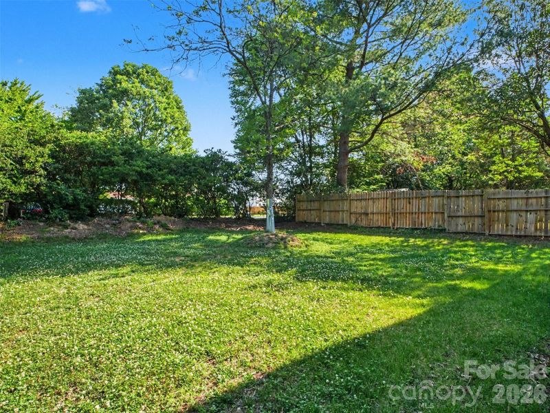 Natural landscape and outdoor views near in Kannapolis (Image 18). Natural landscape and outdoor views near in Kannapolis (Image 18).