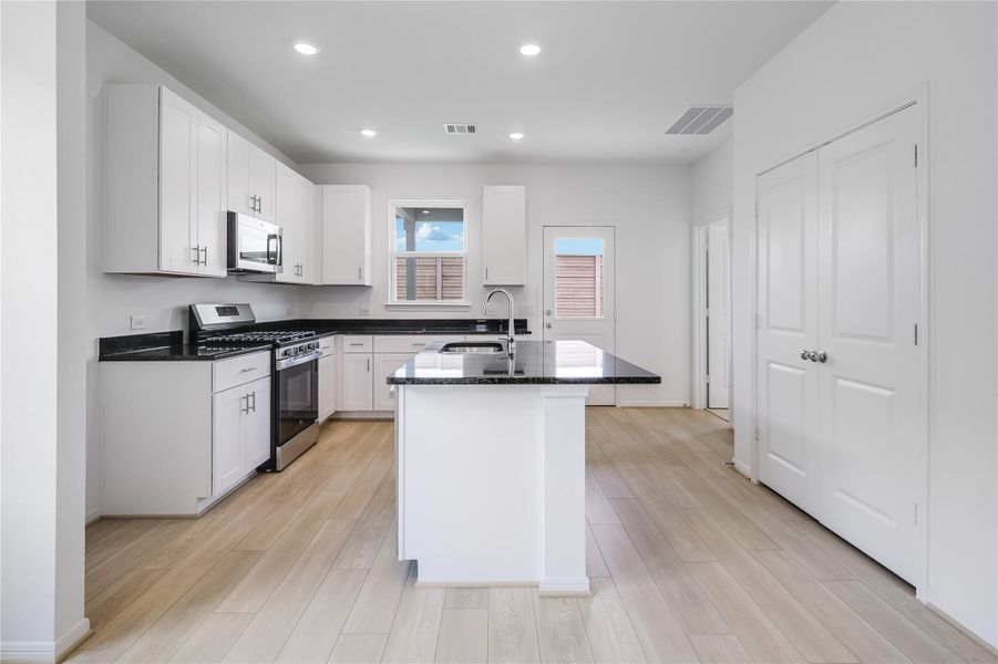 21834 Red Lantana ~ Ready Now 21834 Red Lantana ~ Ready Now