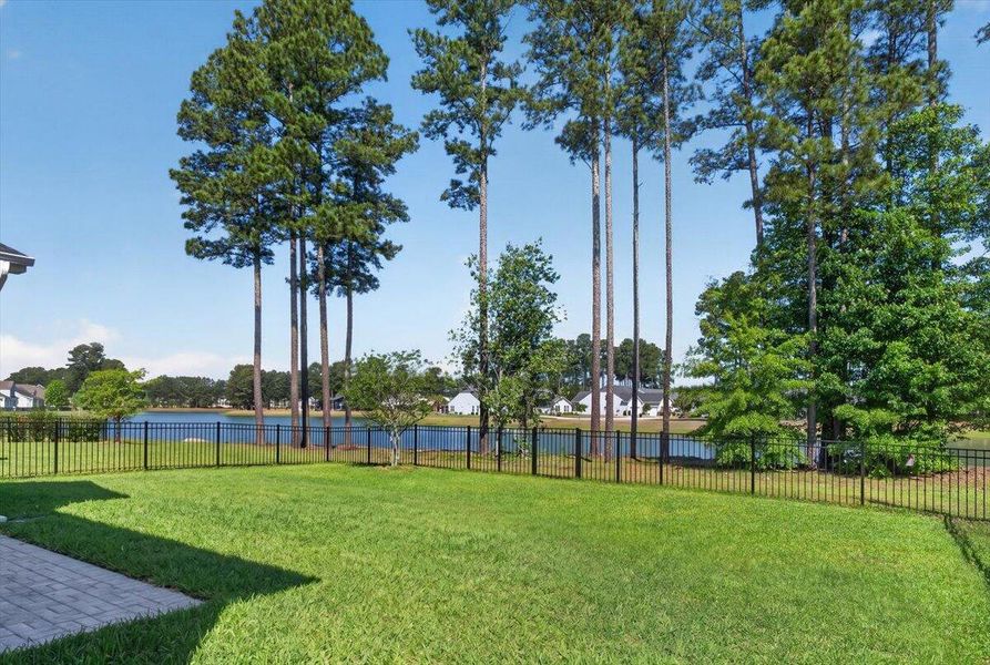 Natural landscape and outdoor views near  in Summerville (Image 48).