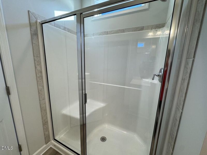 Photo Nov 16 2025, 3 40 17 PM (Medium)