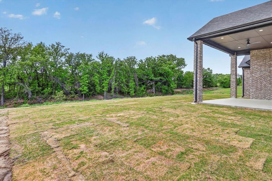 View of grassy yard with a patio area, ceiling fan, and view of scattered trees