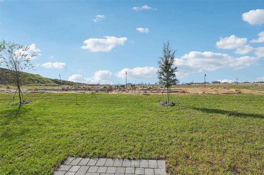 Natural landscape and outdoor views near Crosswinds - Classic Series in Haines City (Image 28).