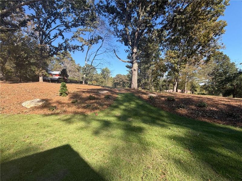 Natural landscape and outdoor views near  in Ball Ground (Image 67).