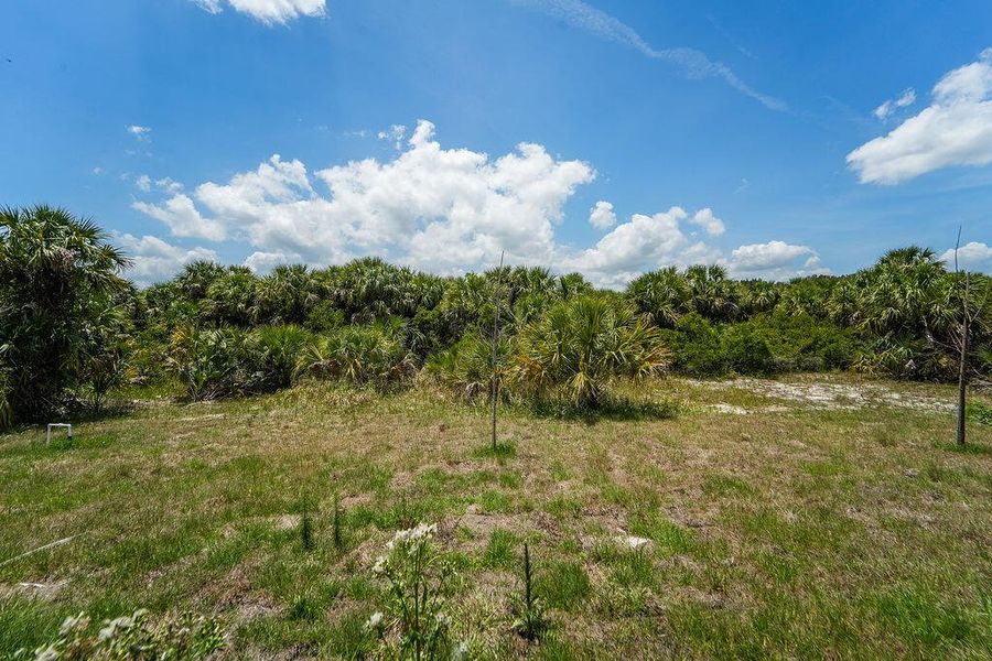 2392MaddenAvePalmBayo-3