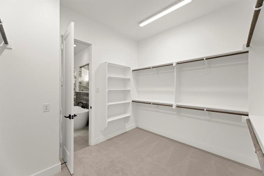 19. 16322 Old Westbury - Closet