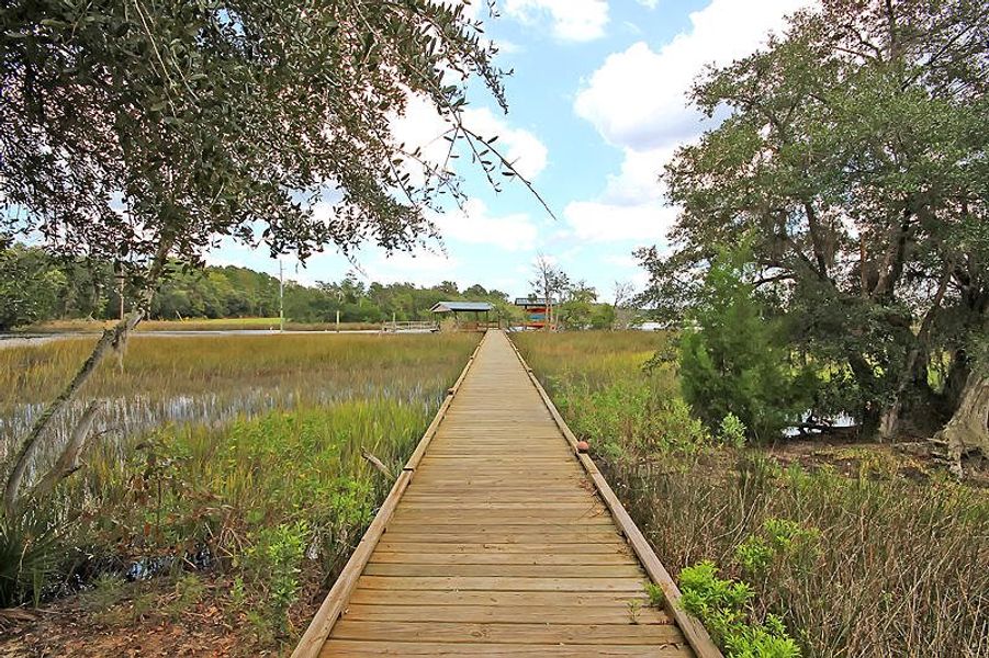 Natural landscape and outdoor views near  in Ravenel (Image 48).