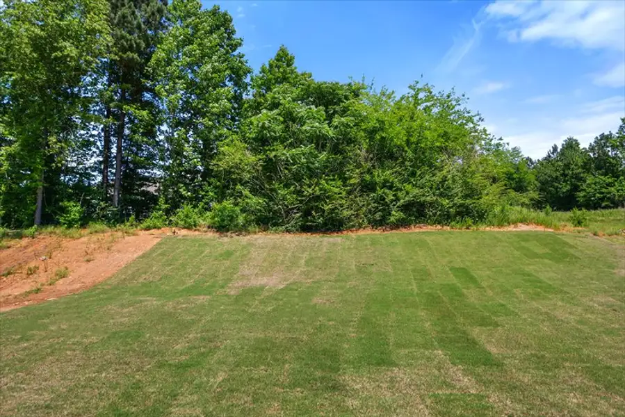 Natural landscape and outdoor views near Baker Grove in Duncan (Image 31). Natural landscape and outdoor views near Baker Grove in Duncan (Image 31).