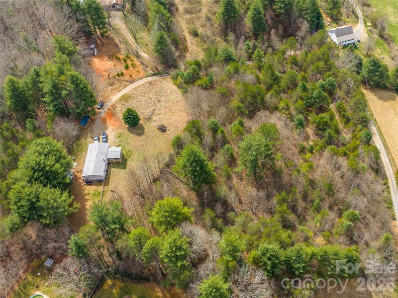 Natural landscape and outdoor views near  in Leicester (Image 7).