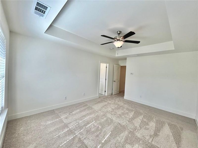 Spare room with ceiling fan, a wealth of natural light, a raised ceiling, and light carpet