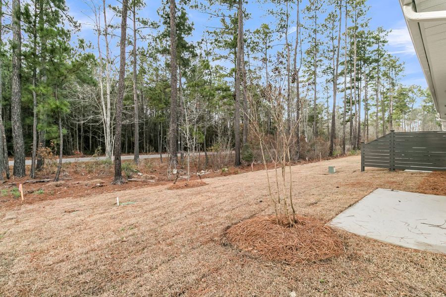 Image 44 of a home in Hammock Walk at Nexton.