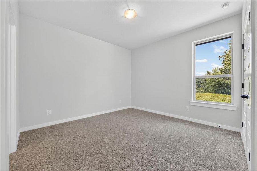 Carpeted room with a single window overlooking a verdant landscape