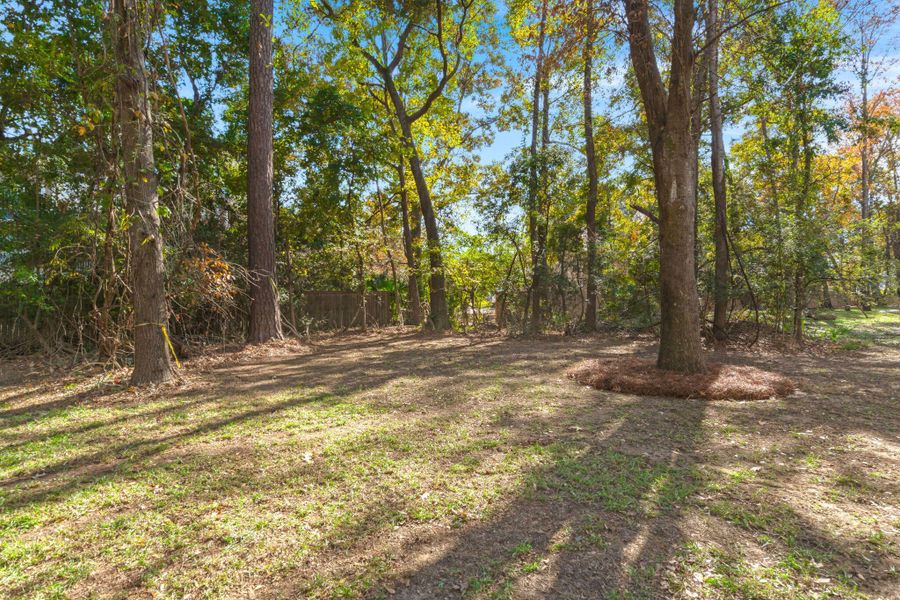 Natural landscape and outdoor views near  in Hollywood (Image 47).