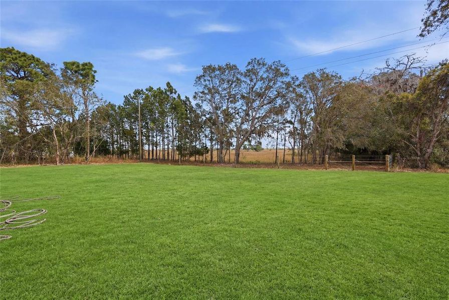 Natural landscape and outdoor views near  in Ocala (Image 42).