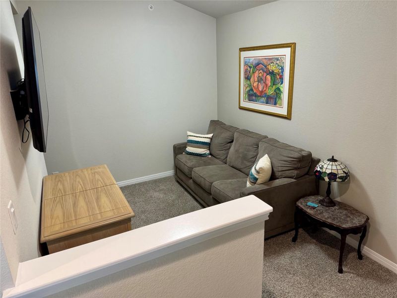 Carpeted loft space room with neutral wall tones and white trim