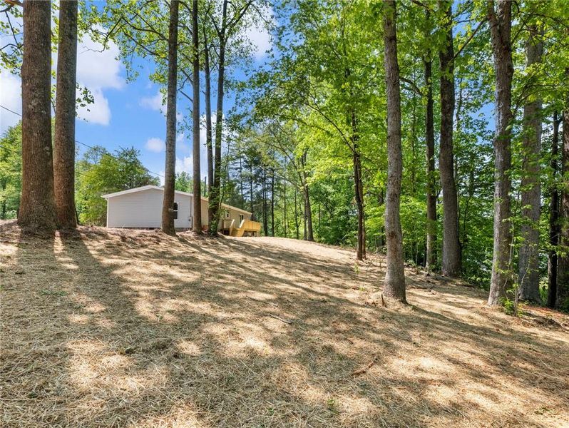 Natural landscape and outdoor views near  in Gainesville (Image 38).