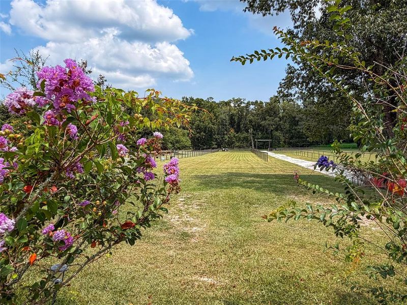 Natural landscape and outdoor views near in Fort White (Image 29). Natural landscape and outdoor views near in Fort White (Image 29).