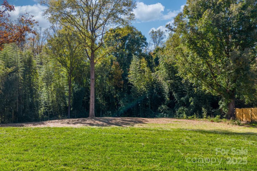 Natural landscape and outdoor views near  in Hickory (Image 23).