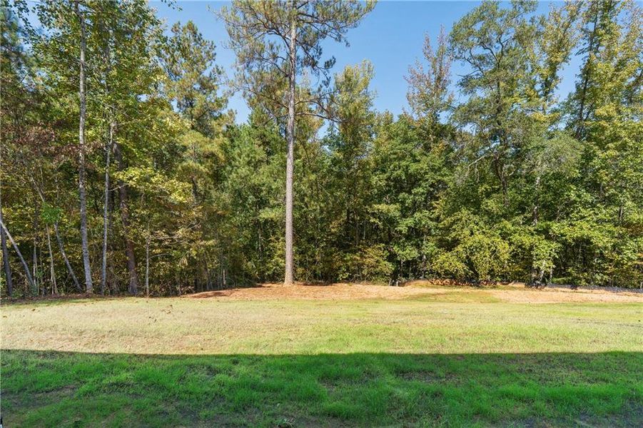 Natural landscape and outdoor views near  in Gray (Image 56).