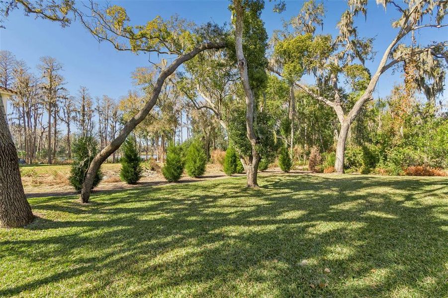 Natural landscape and outdoor views near in Lutz (Image 59). Natural landscape and outdoor views near in Lutz (Image 59).