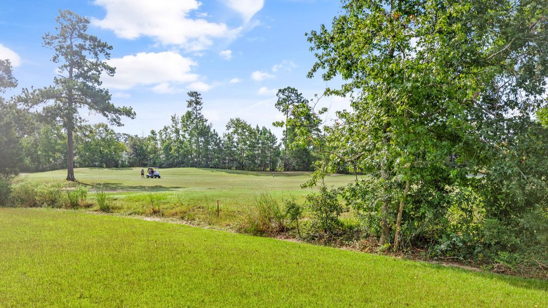 Natural landscape and outdoor views near Bluffs at Sun Colony in Longs (Image 23).