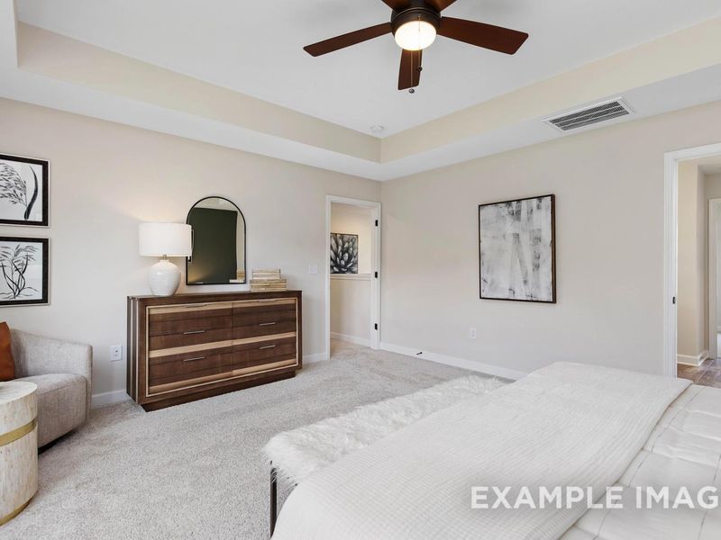 Representative furnished interior of a home built from the The Willow B by Davidson Homes LLC in Retreat at North Main, Lillington (Image 17).