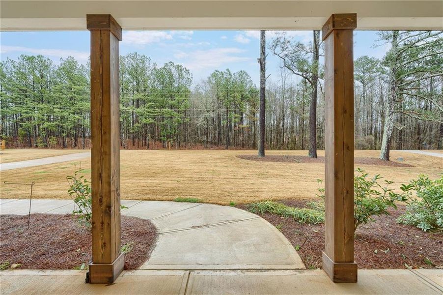 Exterior details and patio area of a home in Alcovy Station, Covington (Image 31).
