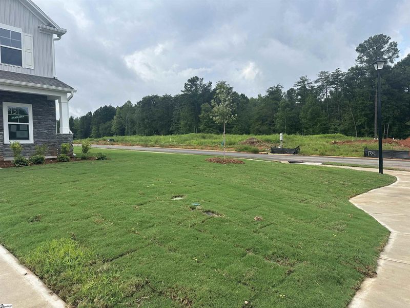 Front exterior of a new home in Shiloh Trail, Wellford, SC, highlighting curb appeal (Image 17). Front exterior of a new home in Shiloh Trail, Wellford, SC, highlighting curb appeal (Image 17).