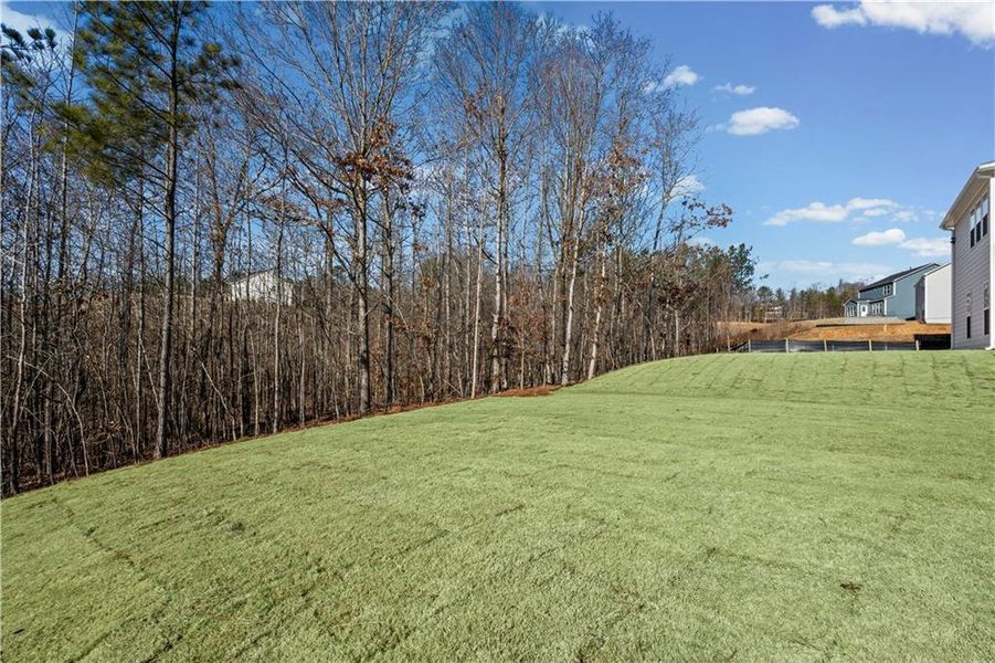 Natural landscape and outdoor views near Hunters Creek in Flowery Branch (Image 34).