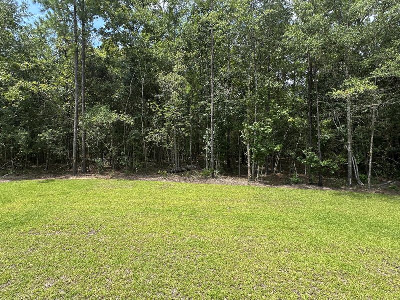 Natural landscape and outdoor views near  in Awendaw (Image 54).