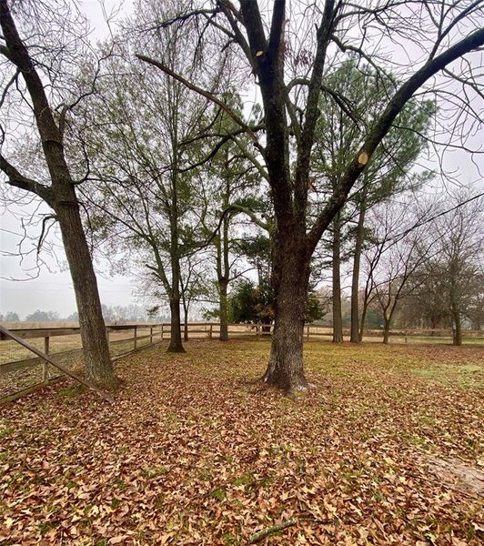 Fenced backyard with big shade trees Fenced backyard with big shade trees
