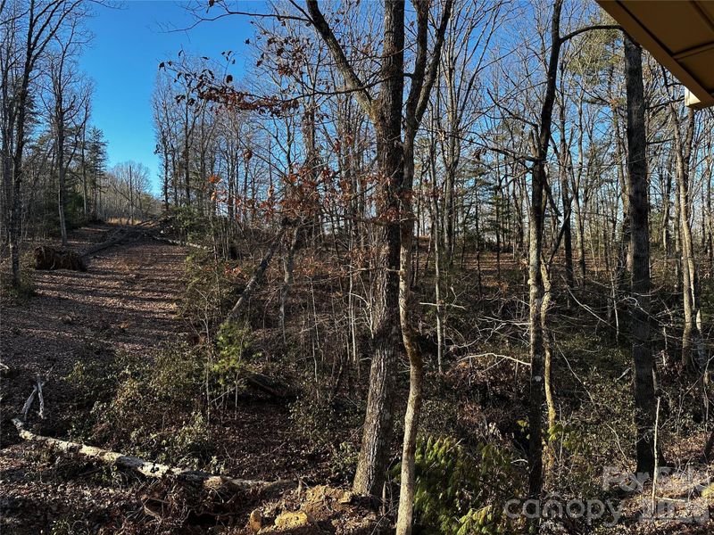 Land beside the Home