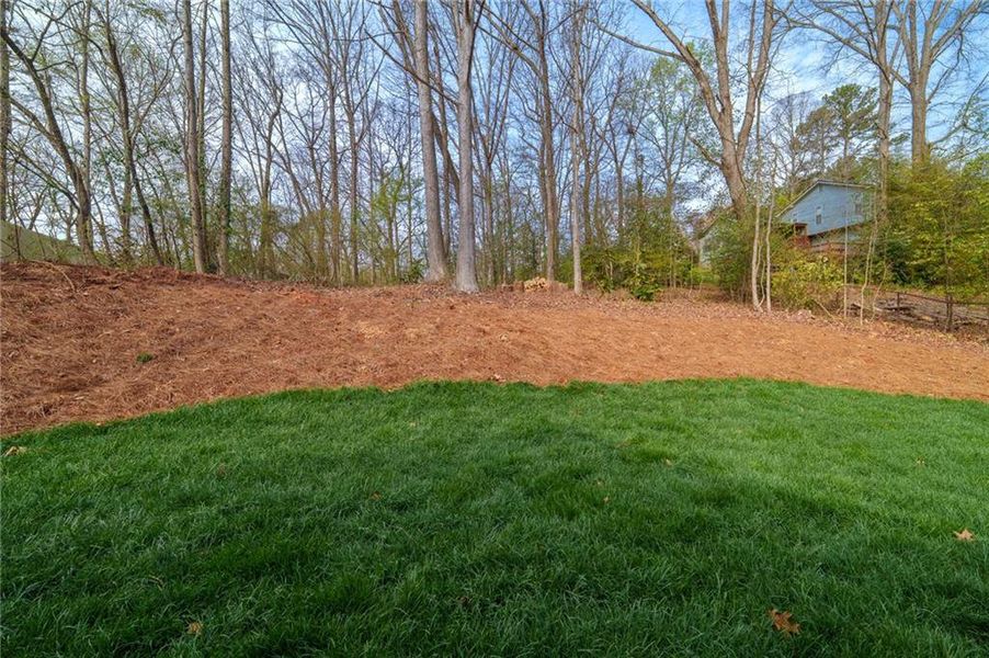 Natural landscape and outdoor views near  in Woodstock (Image 40).