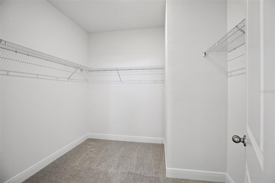 Spacious, unfurnished interior of a new home in Cyrene at Minneola, Minneola (Image 30).