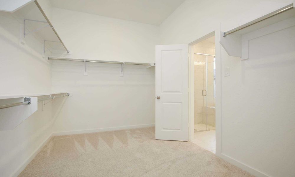 Representative Primary Closet - some options shown