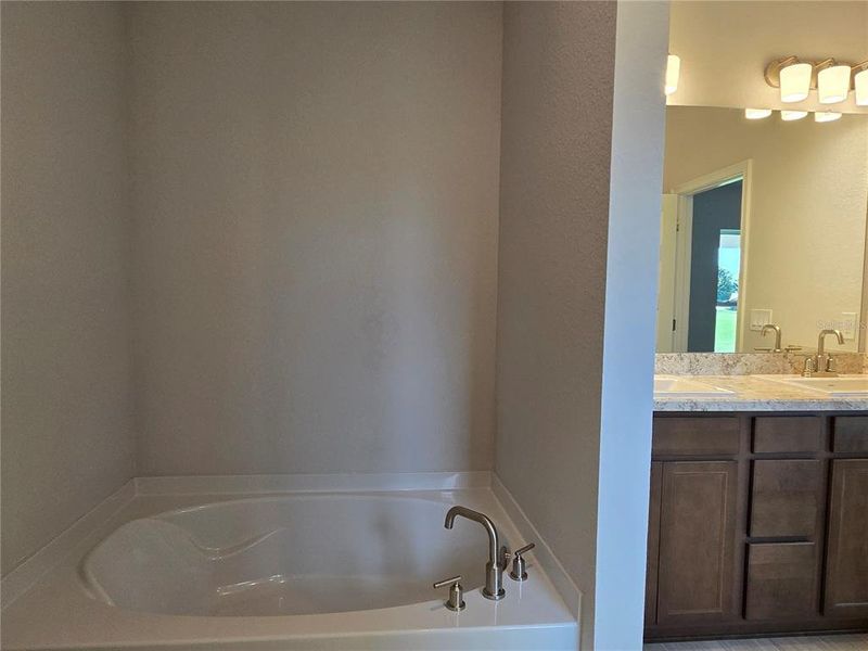 garden tub in main bath